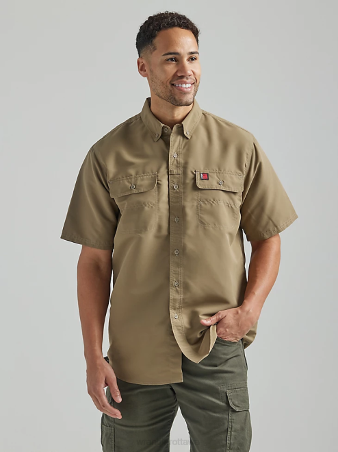 Dark Khaki (112325420)