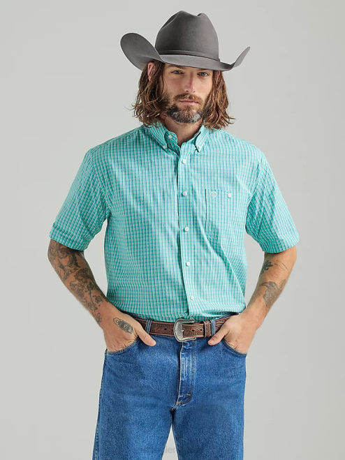 Teal (112324874)
