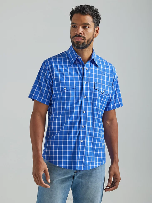 Royal Blue (112324664)