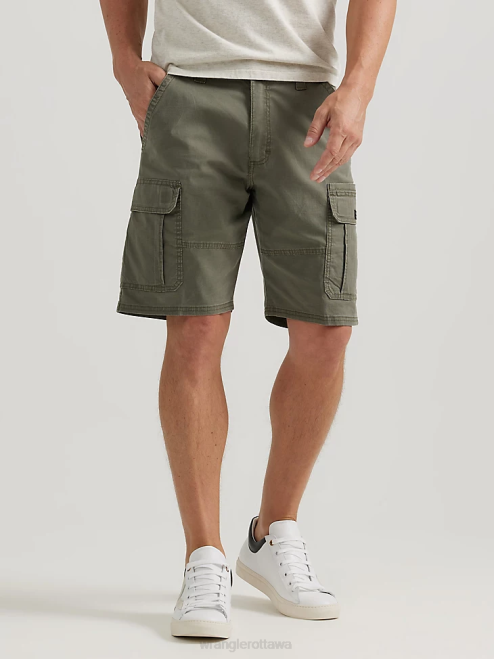 Olive (112336221)
