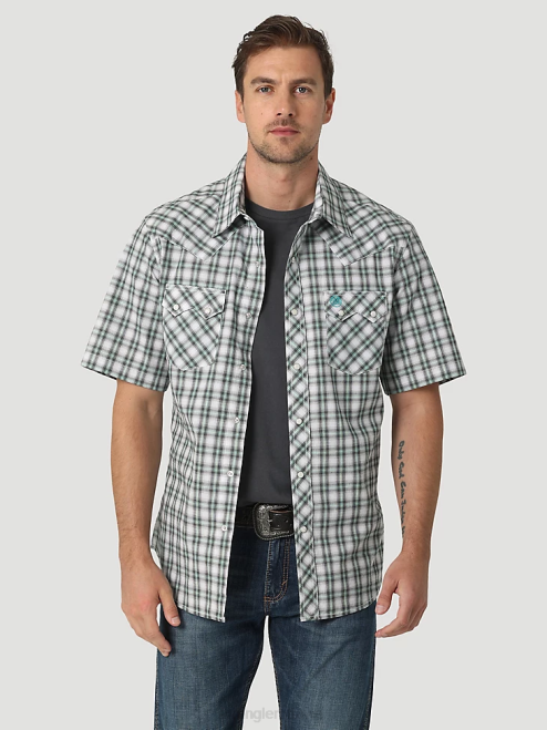 Picnic Green (112326336)