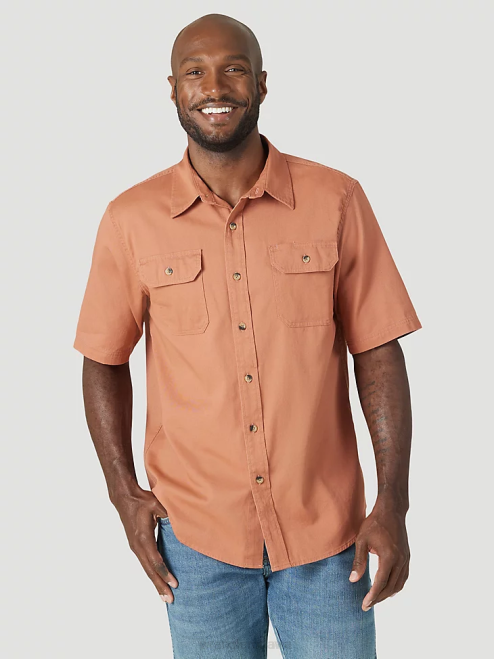 Copper Brown (112315228)