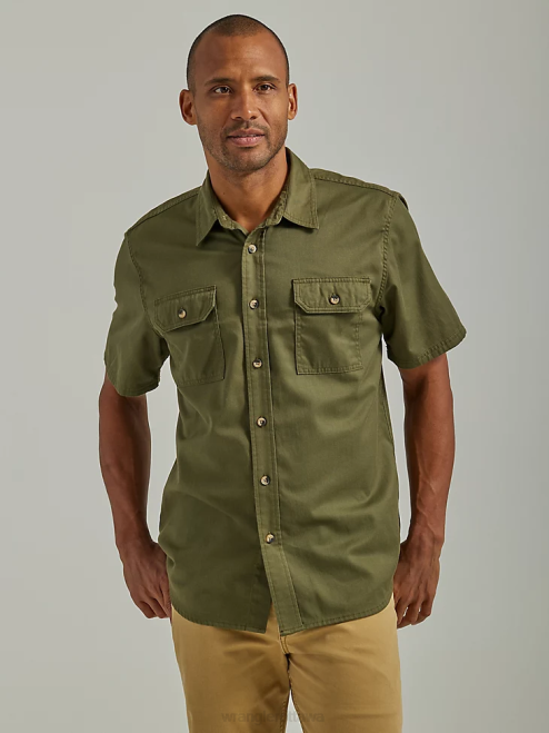 Olive Night (112330684)