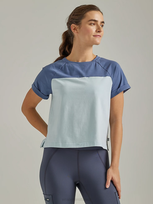 Vintage Indigo (112333846)